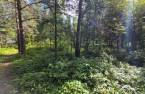 Terre/Terrain