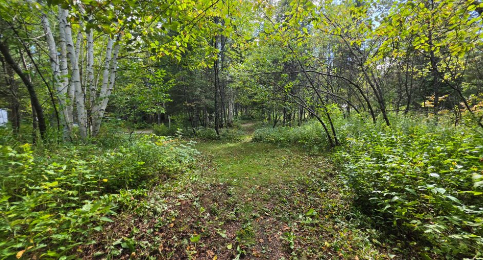 Terre/Terrain