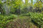 Terre/Terrain