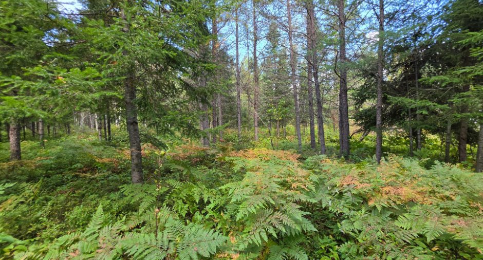 Terre/Terrain