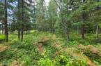 Terre/Terrain