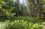 Terre/Terrain