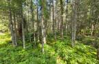 Terre/Terrain