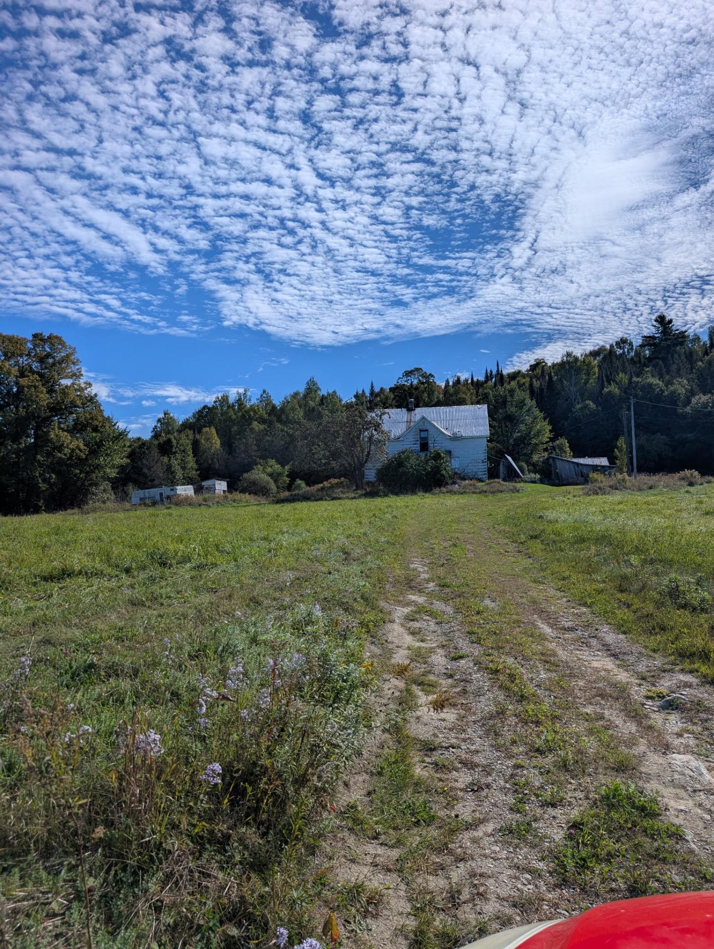 78 Ch. McBean — photo 1
