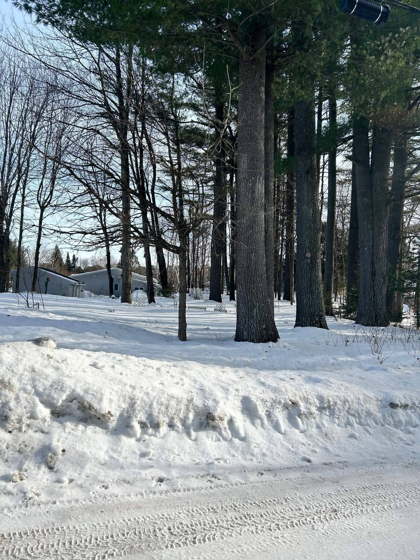 350 Rue de la Rivière — photo 3