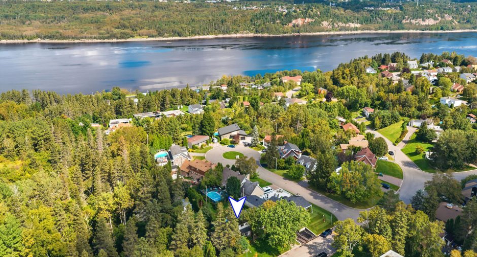 Vue