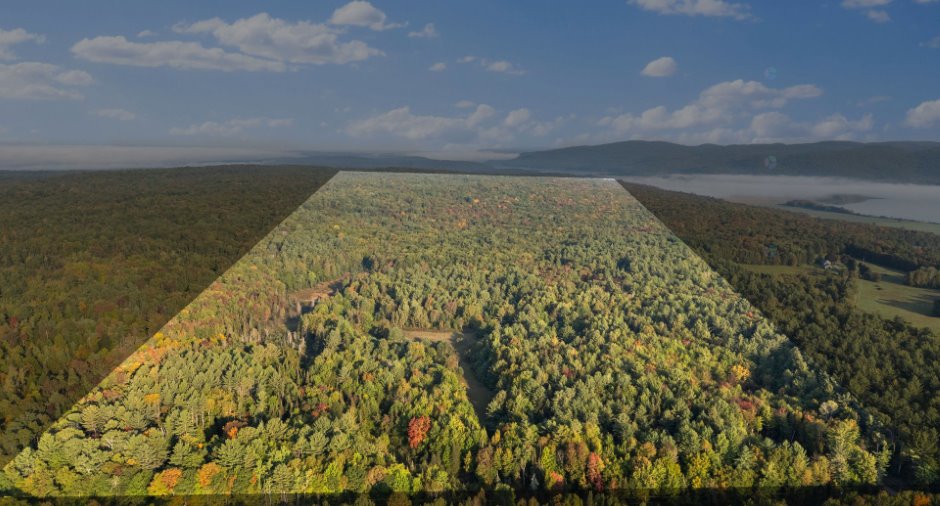 Terre/Terrain