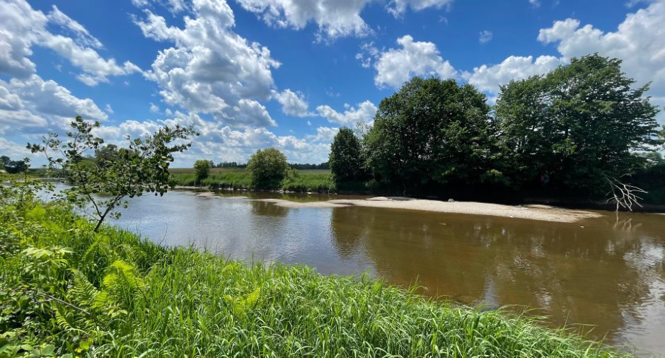 Vue sur l'eau