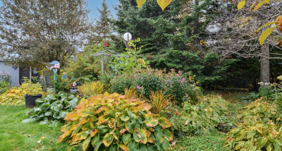 Jardin