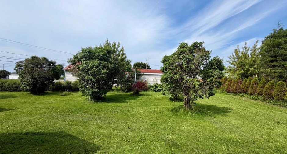 Land/Lot