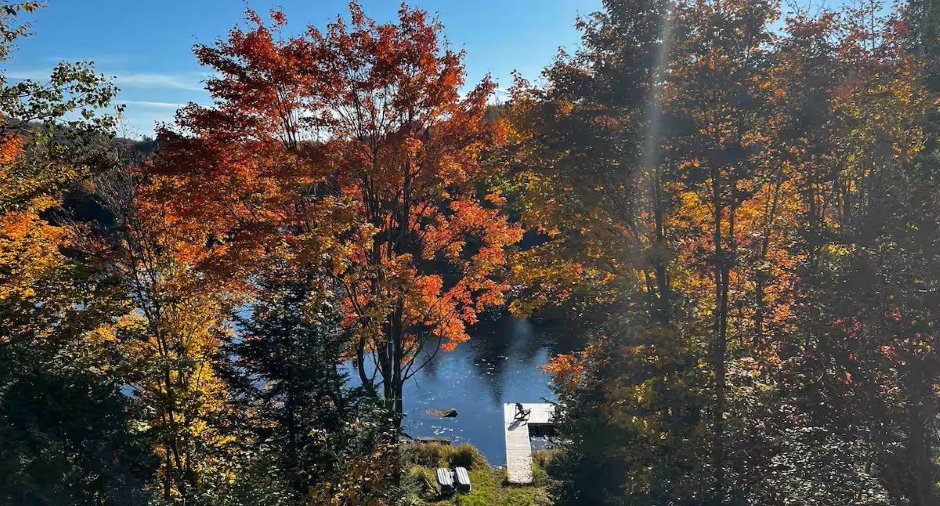 Vue sur l'eau