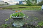 Jardin
