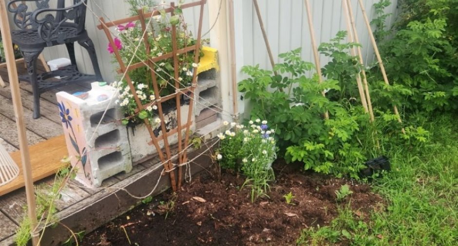 Jardin