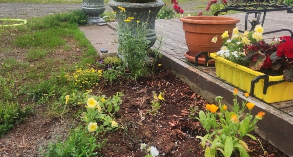 Jardin