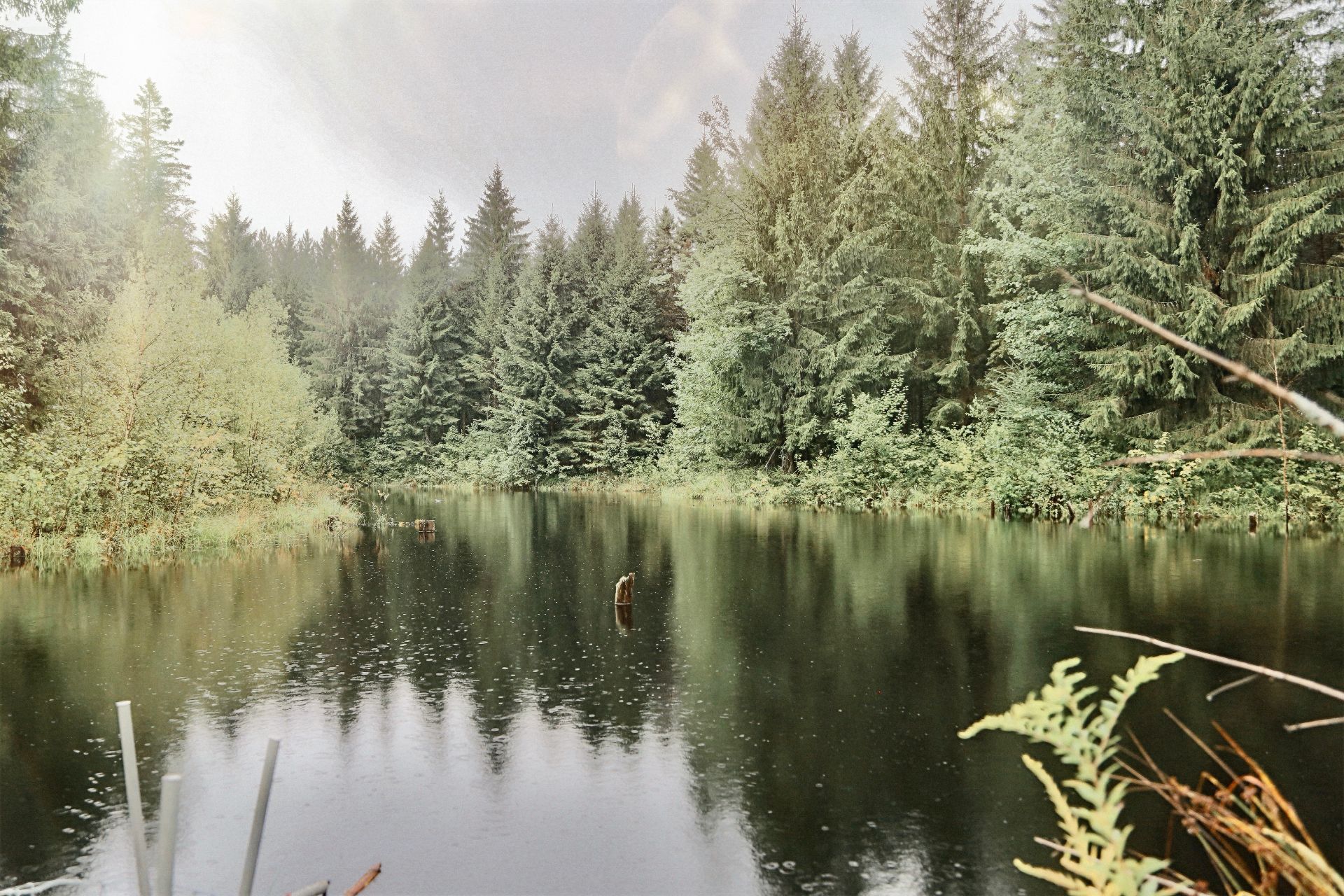 Vue