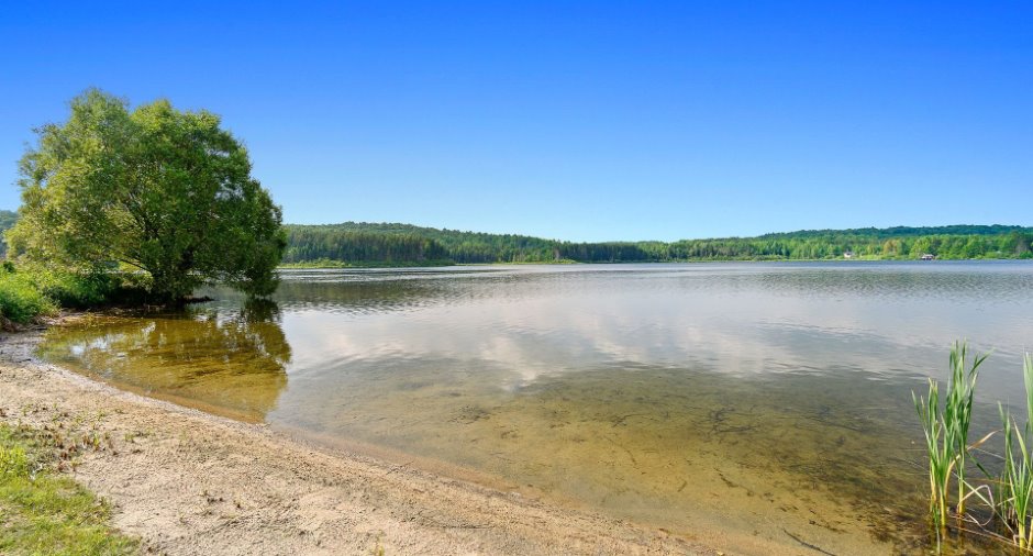 Bord de l'eau