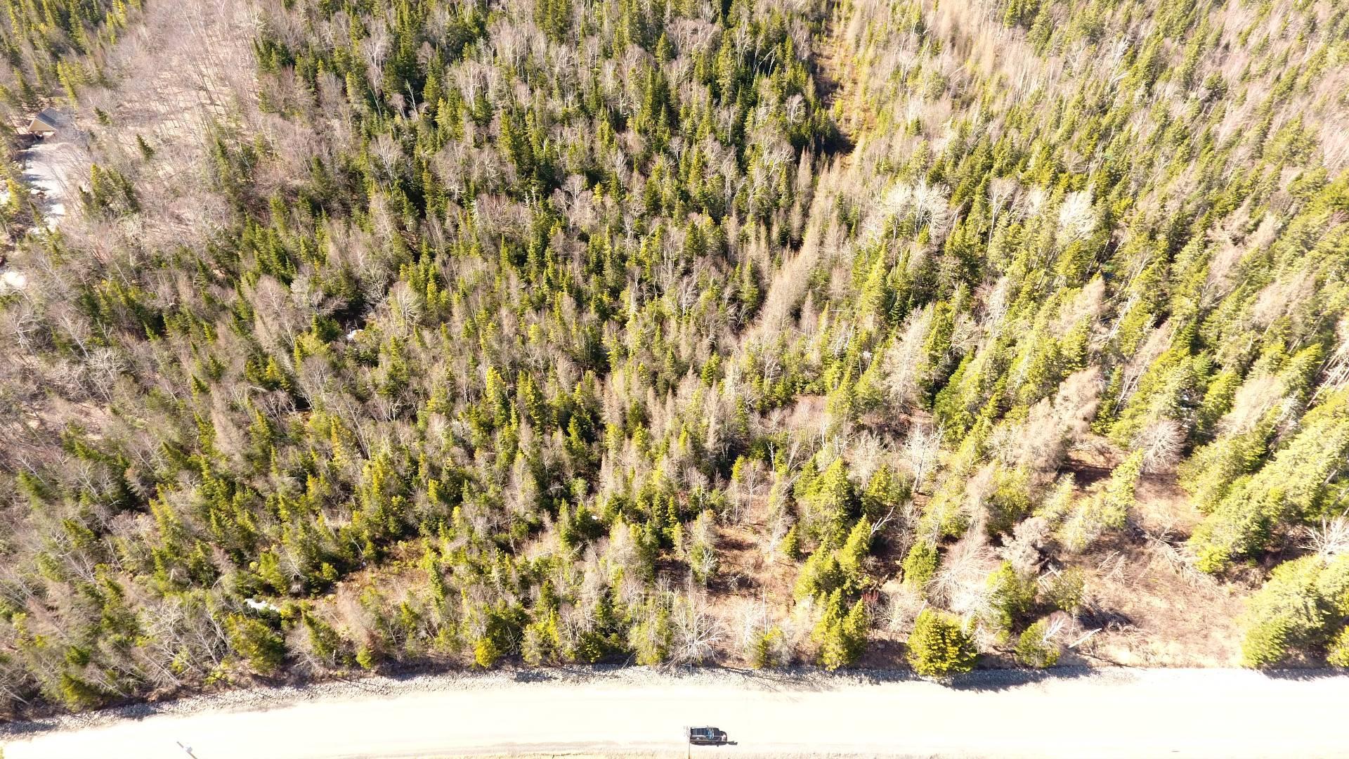 Mtée Gagnon — photo 3