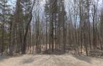 Terre/Terrain