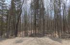 Terre/Terrain