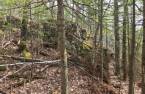 Terre/Terrain