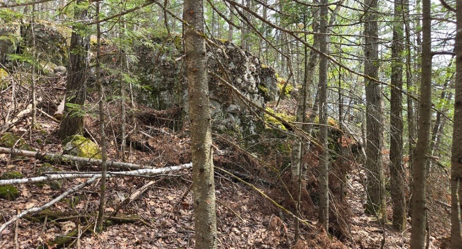 Terre/Terrain