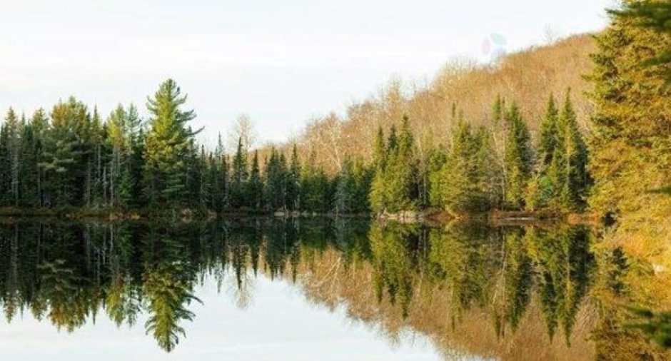 Accès au plan d'eau