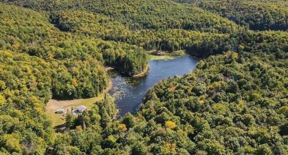 Aerial photo