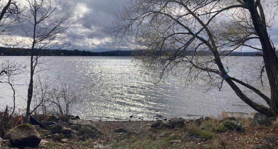 Vue sur l'eau