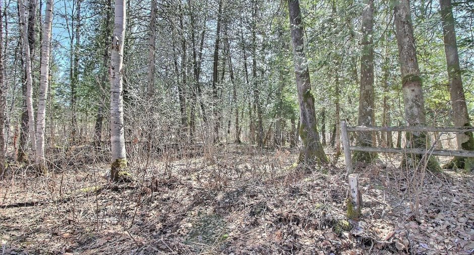 Terre/Terrain