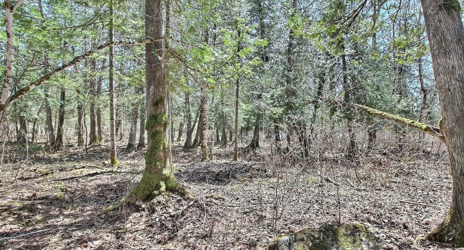 Terre/Terrain