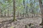 Terre/Terrain