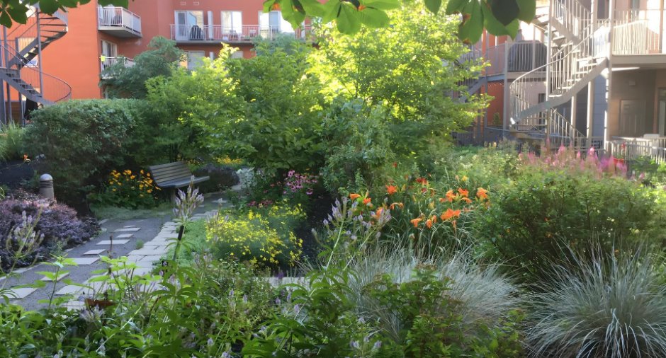 Jardin