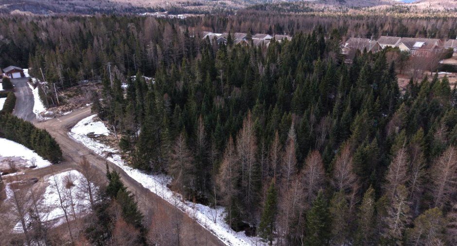 Vue d'ensemble