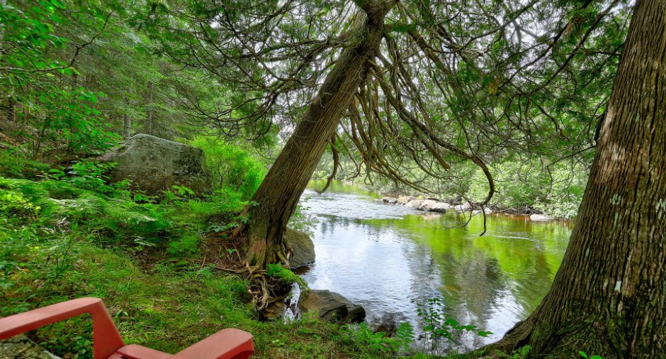 Bord de l'eau