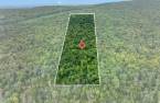 Terre/Terrain