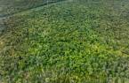 Terre/Terrain