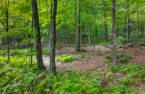 Terre/Terrain