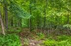 Terre/Terrain