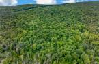 Terre/Terrain